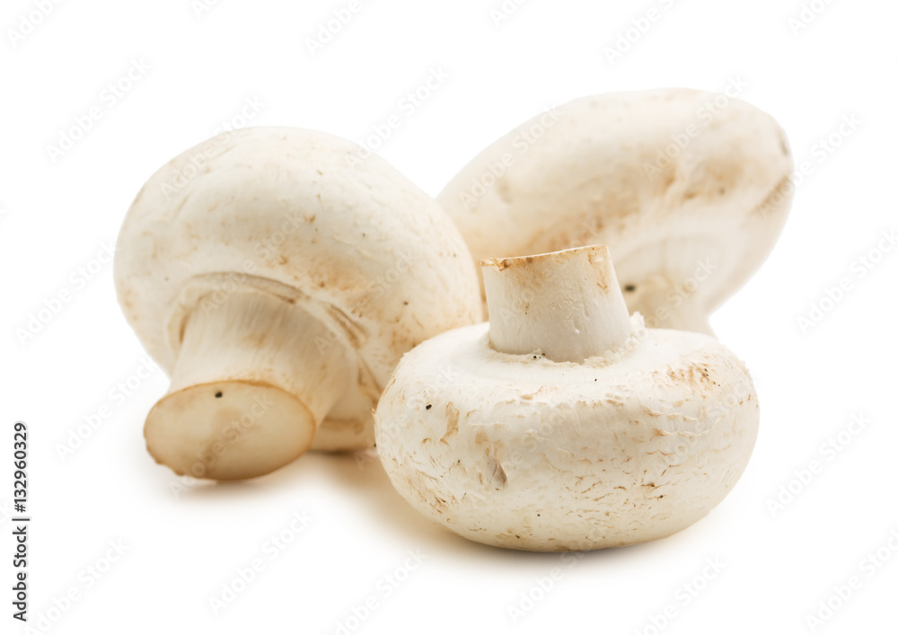 handful of raw mushrooms handful of raw mushrooms