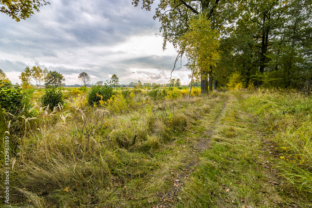 Obraz premium Dolina Baryczy, stawy