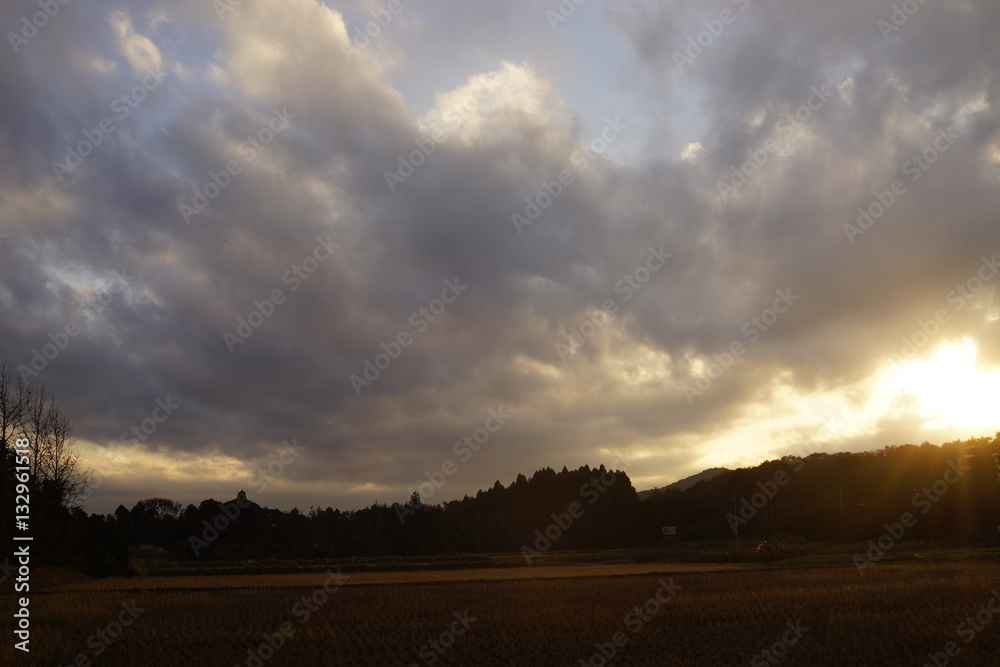 夕方　夕刻　木漏れ日　空　