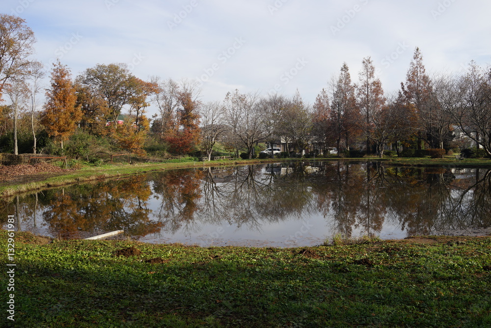 Obraz premium 公園 秋 池