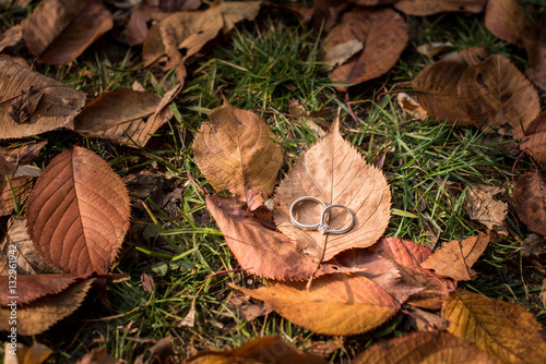 Wedding rings on the grass