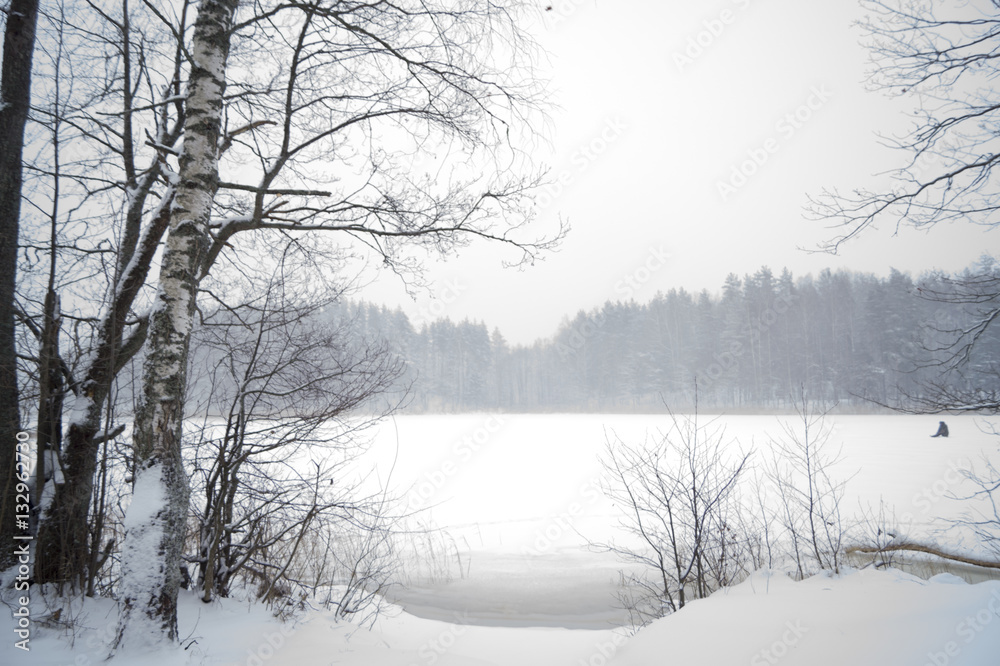 winter lake in the forest winter lake in the forest