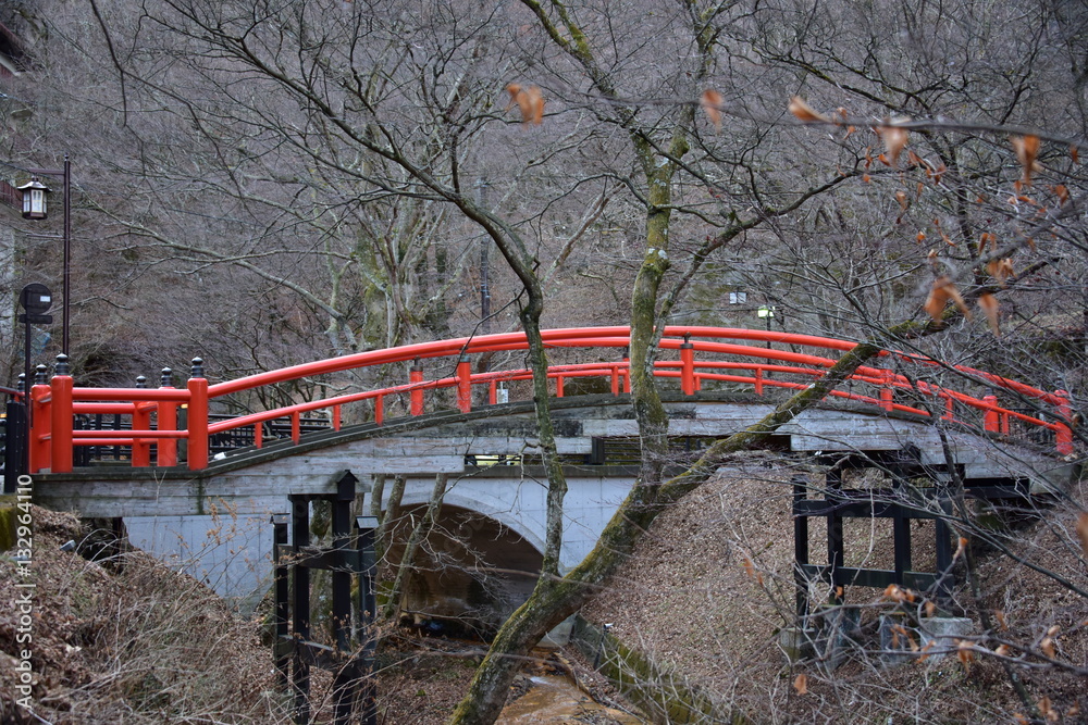 Fototapeta premium 朱色の太鼓橋
