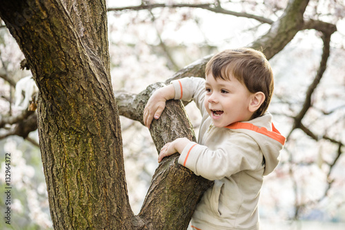 toddler boy in spring time near the blossom tree