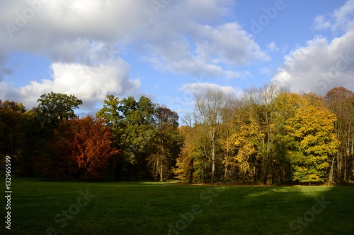 Details from park in autumn with cloudy sky