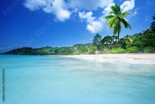 beach on Mahe island  Seychelles