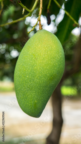 thai green mango
