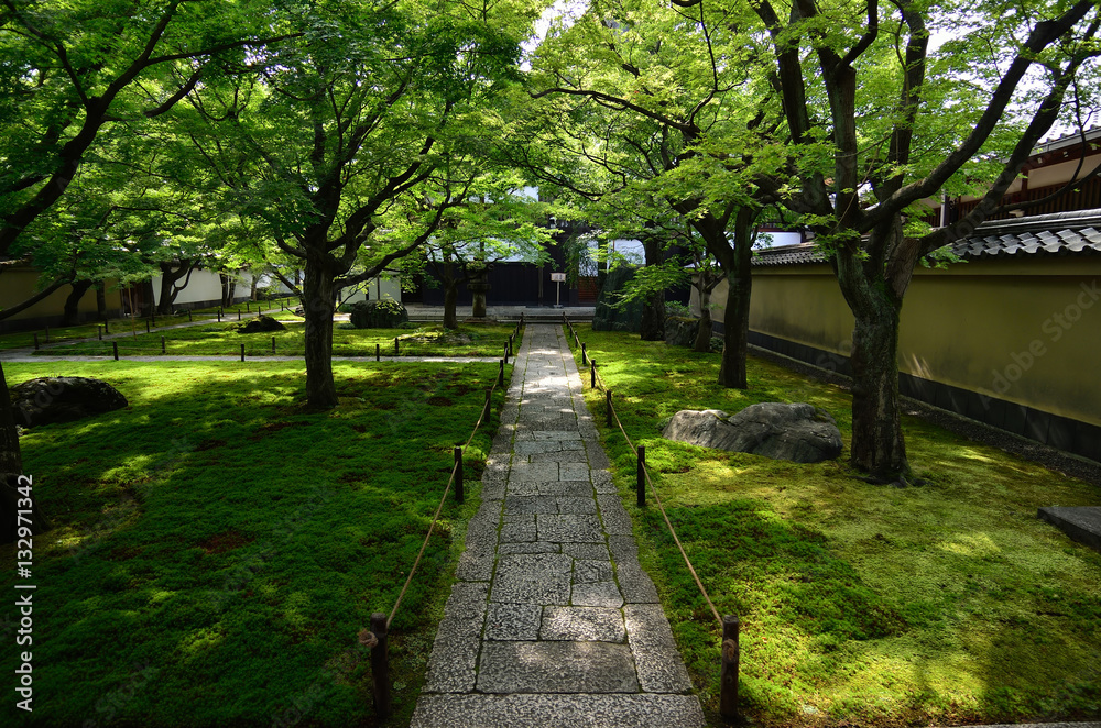stone path and Japanese garden, Kyoto stone path and Japanese garden, Kyoto