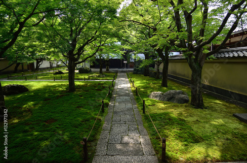 Fototapeta Naklejka Na Ścianę i Meble -  stone path and Japanese garden, Kyoto