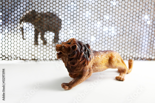 The Lion and Elephant model. Concept shooting model animals through steelgratingand backgrounds, including blur lens in some parts. 