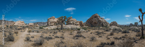 Panorama of Joshua Tree National Park during the day 