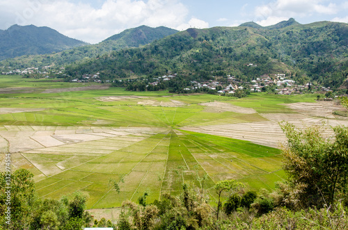 Wallpaper Mural Cancar Spider Rice Field, Flores, Indonesia Torontodigital.ca