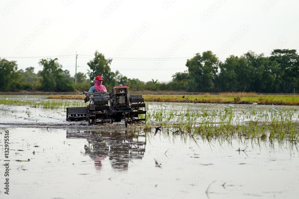 Naklejka premium tiller