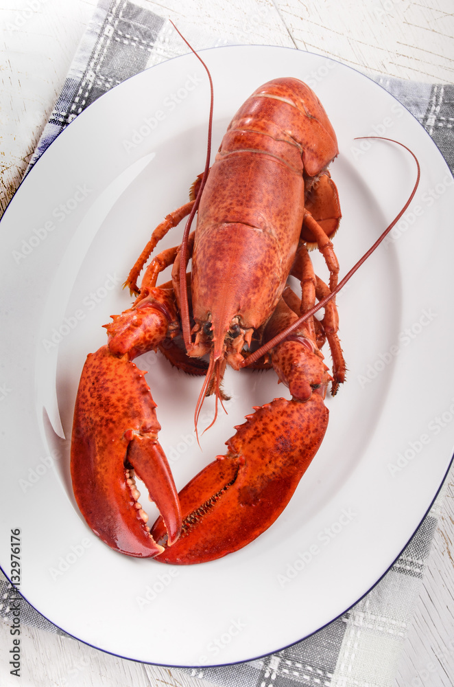 boiled red lobster on an oval plate boiled red lobster on an oval plate