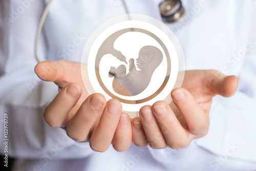 Icon of the embryo in the doctor's hand. photo