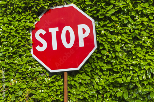 Close-up red hexagonal Stop sign on metal pole with green leaves pattern on the background