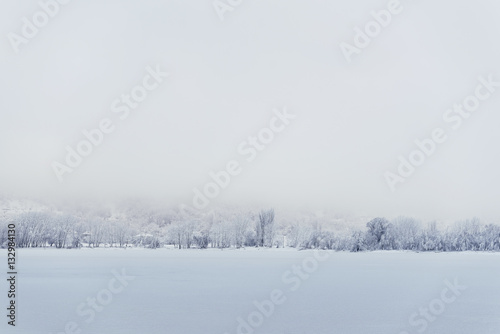 Trees and snow © ardasavasciogullari