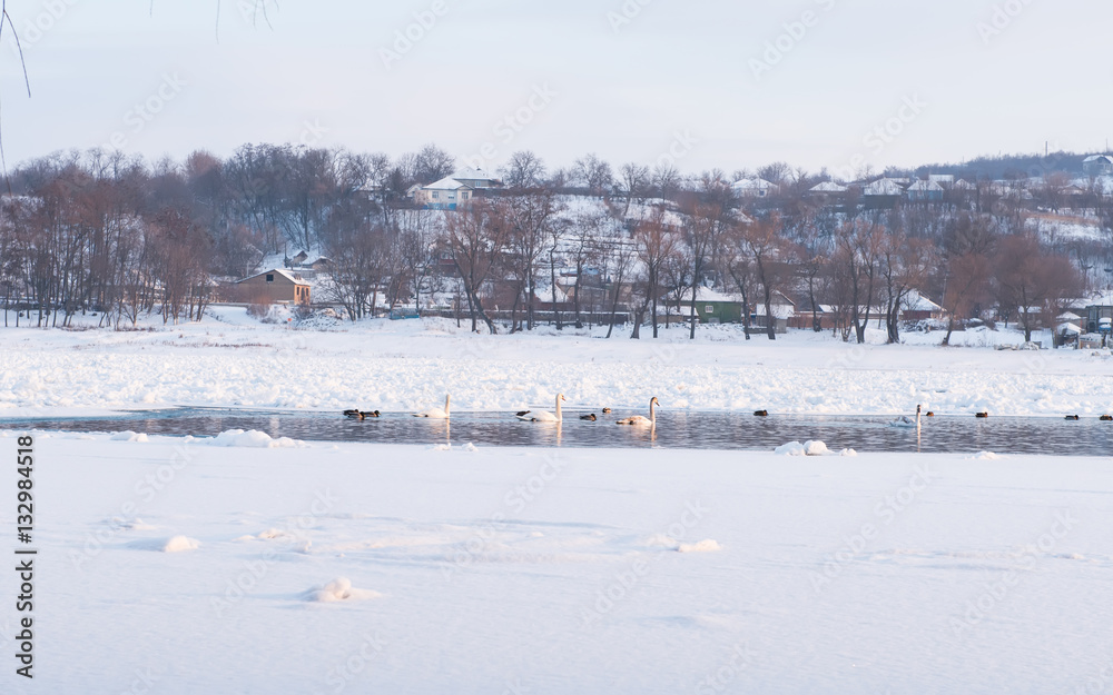 winter landscape of the Dniester River
