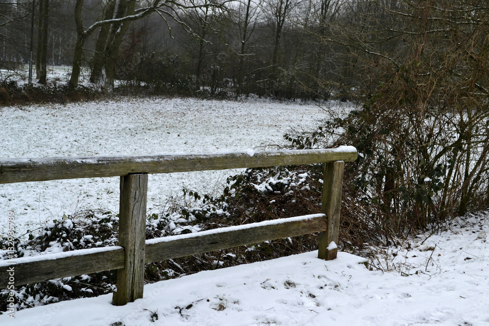 Naklejka premium Winter