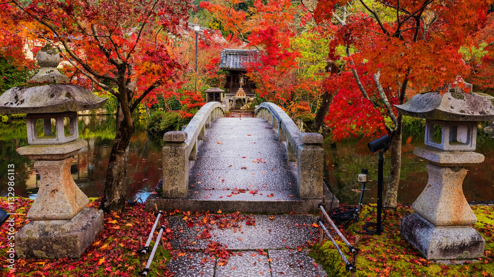 Obraz premium Eikando jesienią, Kioto