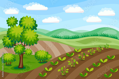 Farm Rural landscape