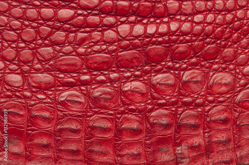 Red crocodile leather texture.