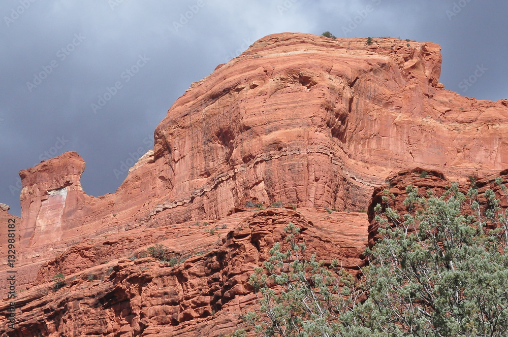 Fototapeta premium Sedona Red Rocks, Arizona