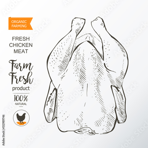 chicken meat vector