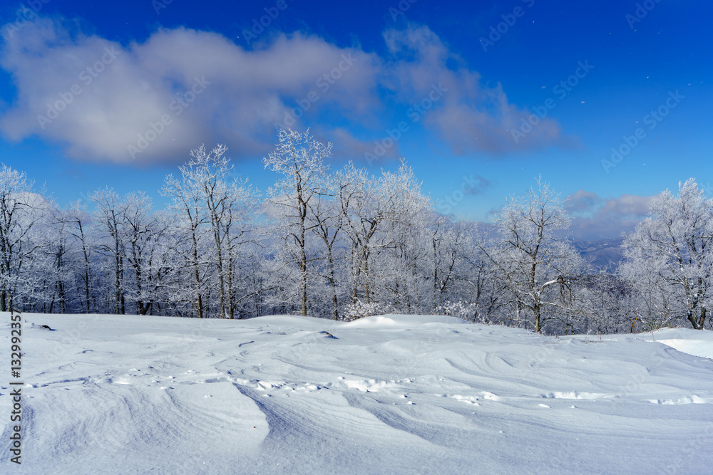 Snow Drifts 
Bearwallow Mountain, Appalachian Mountains, North Carolina 