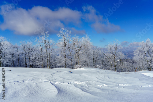 Snow Drifts   Bearwallow Mountain, Appalachian Mountains, North Carolina  © marknortona