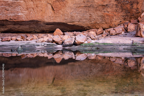 Reflections on a Pond photo