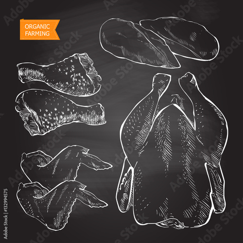 chicken meat vector