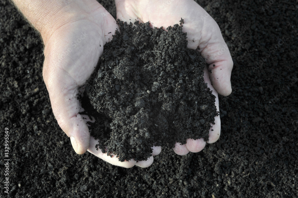 Compost