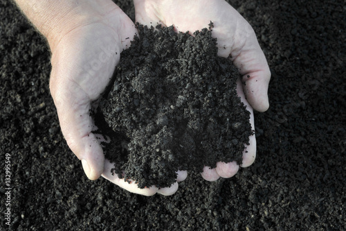 Obraz na płótnie Compost w salonie
