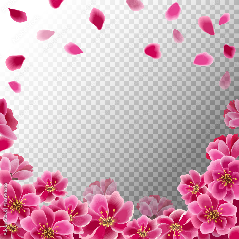 Blossoming pink sakura flowers and falling petals. Spring blooming background. 