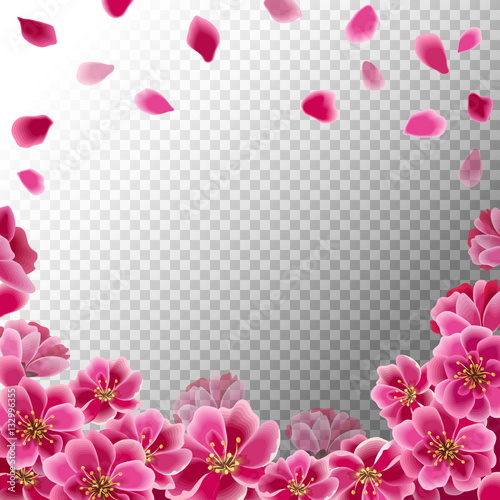 Blossoming pink sakura flowers and falling petals. Spring blooming background.  © malinaanton