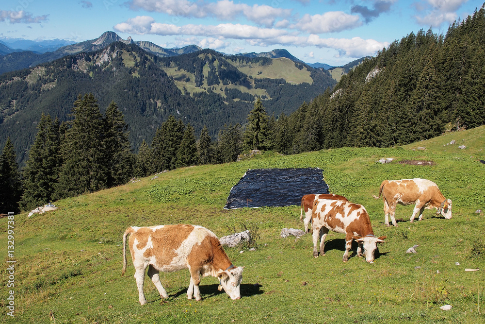 Wanderung rund um die Rotwand