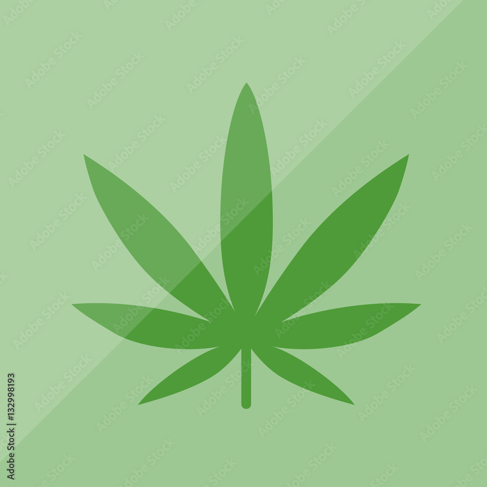 Hanf - Cannabis - Pflanze Hanf - Cannabis - Pflanze