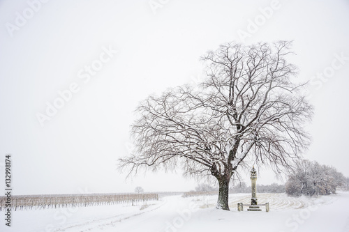 Lindenbaum mit Bildstock bei Schneefall im Winter photo