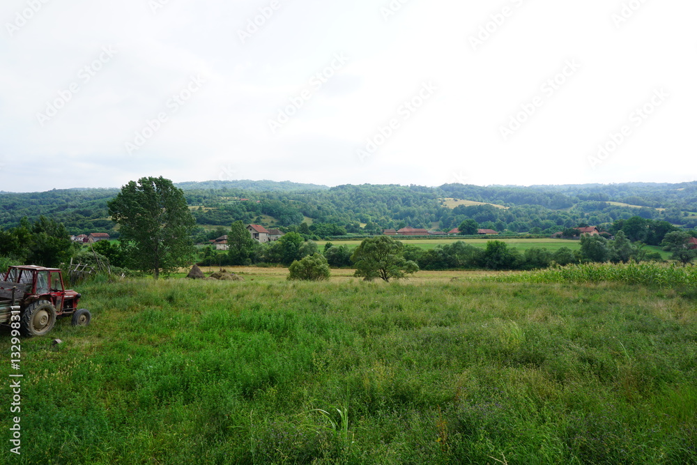 Landschaft, Blumen, Bäume