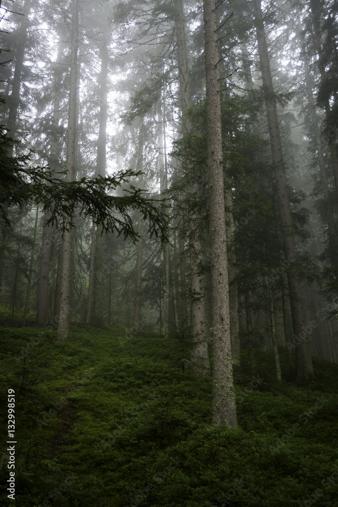 Fototapeta premium charming austria