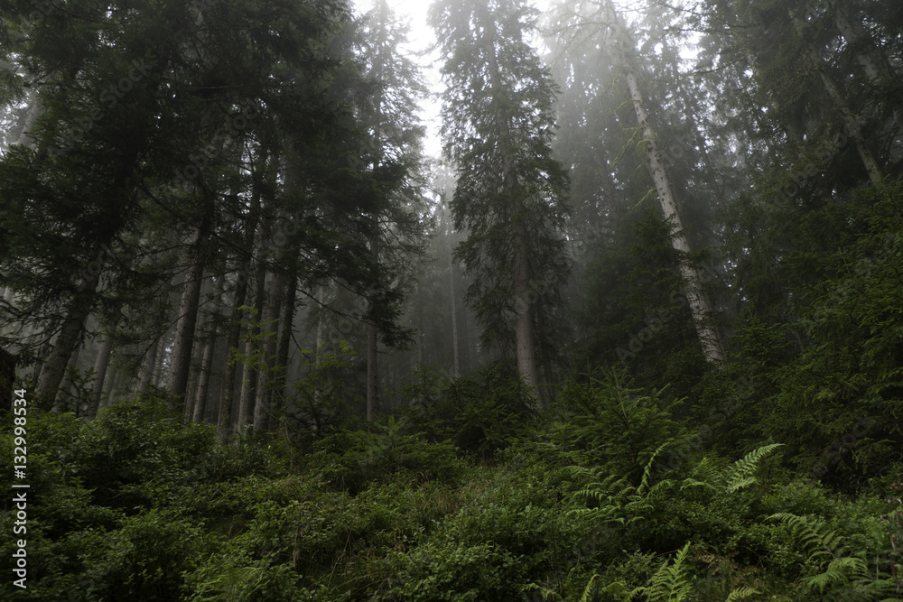 Obraz premium charming austria