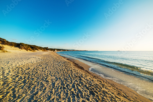 Maria Pia shore at sunset photo