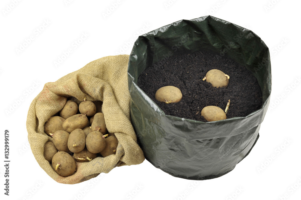 Potatoes