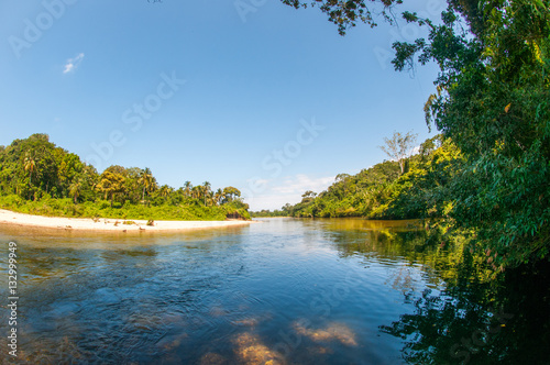rio palomino