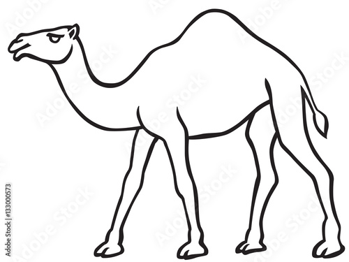Camel contour icon