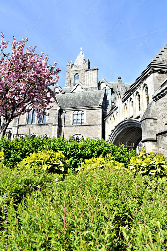 Naklejka premium Porte-château à Dublin