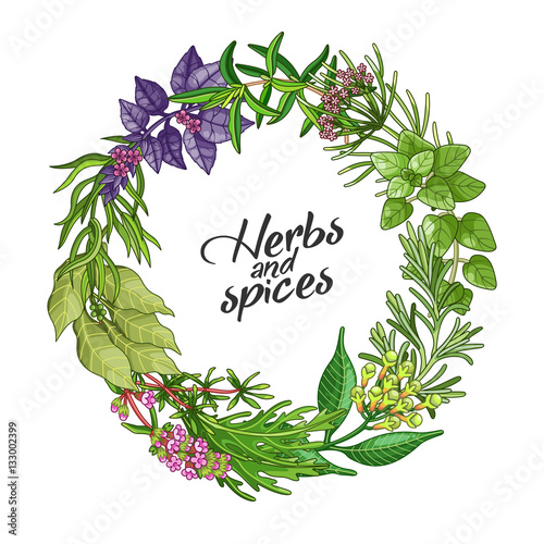 Vector circle wreath template with spices and herbs. Decorative colorful composition with type design
