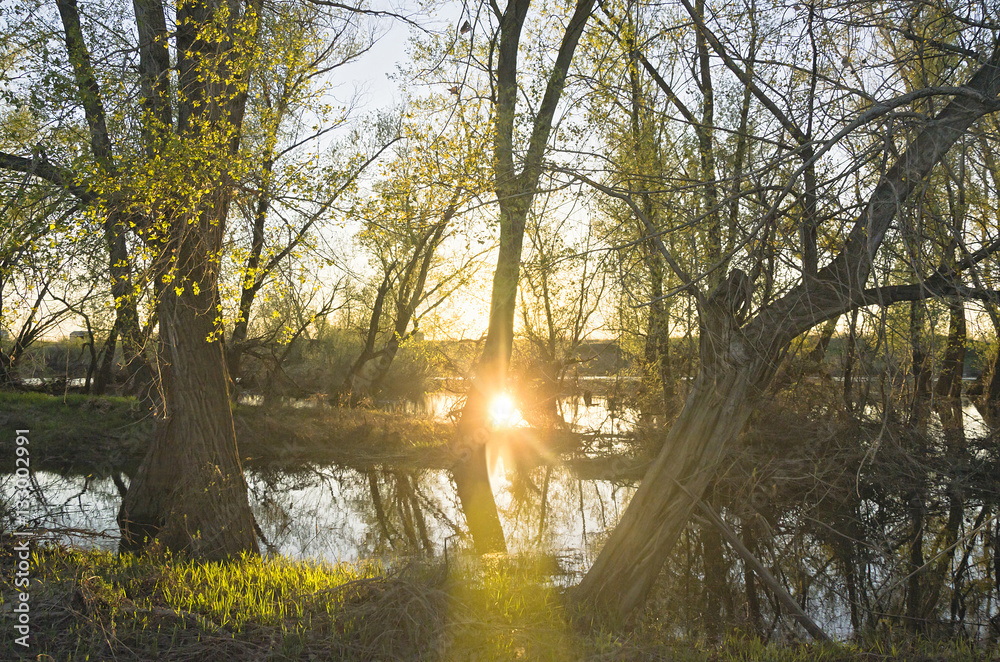 During the flood high water / Reflection of the Sun in the Water / Sunset at the Riverside During the flood high water / Reflection of the Sun in the Water / Sunset at the Riverside