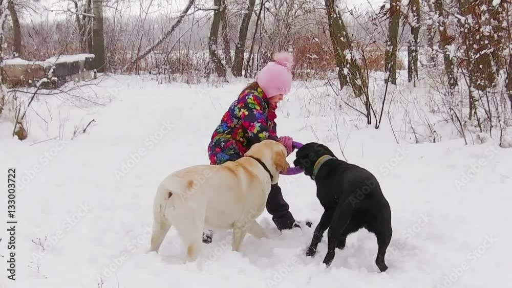 Little girl playing with her pale yellow and black labradors on snow, slowmotion Little girl playing with her pale yellow and black labradors on snow, slowmotion